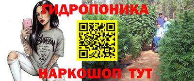 не бодяженный Камышлов