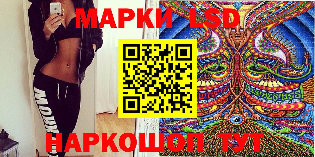 Наркотические марки 1500мкг  закладка  Вход с VPN  Камышлов  Наркотические марки 1500мкг 