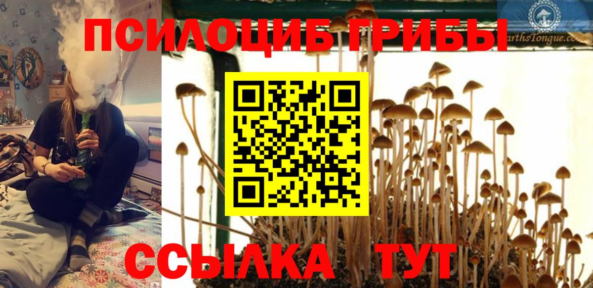 Камышлов  Псилоцибиновые грибы Psilocybine cubensis  Галлюциногенные грибы Psilocybe  Вход с VPN 